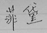 菲黛