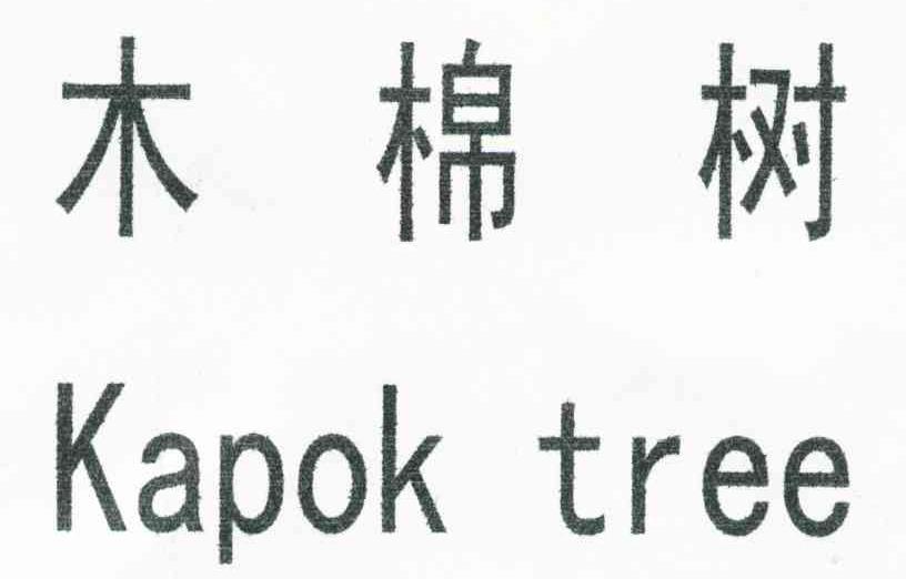 木棉树 KAPOK TREE