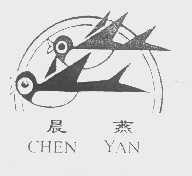 晨燕