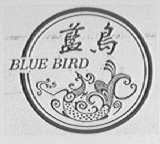 蓝鸟    BLUE BIRO