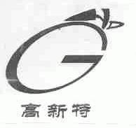 高新特