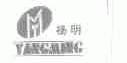 扬明