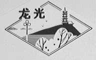 龙光
