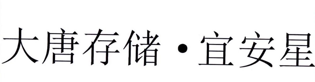 大唐存储&middot;宜安星