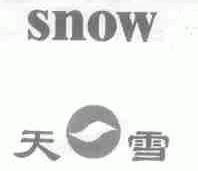 天雪;SNOW