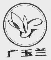 广玉兰