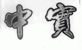 中实