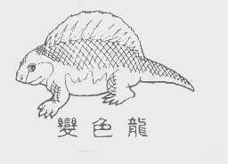 变色龙