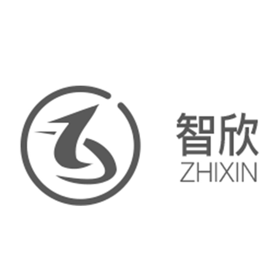 智欣