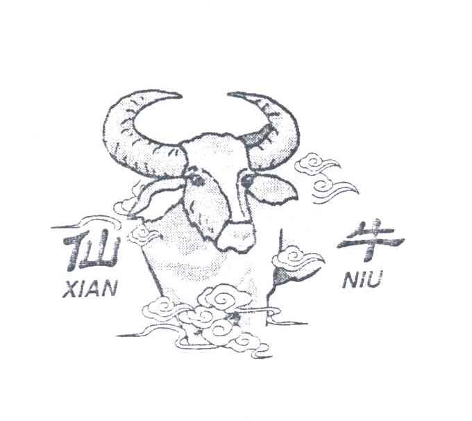 仙牛