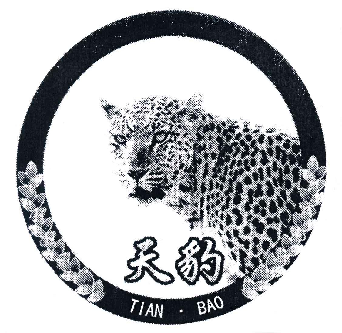 天豹及图