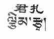 君扎