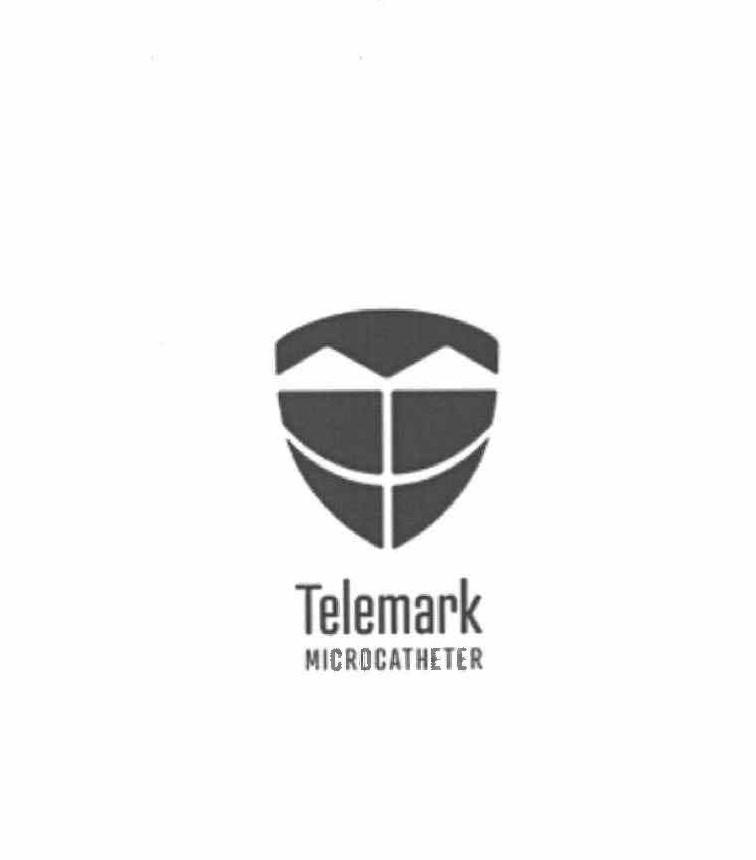 TELEMARK MICROCATHETER