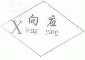 向应