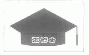 张博士