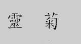 灵菊