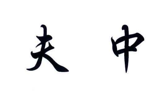 夫中