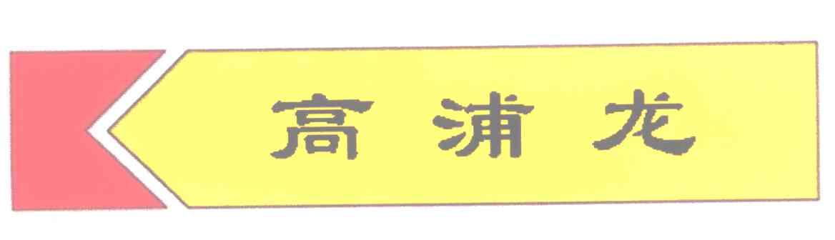 高浦龙