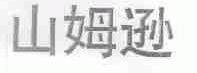 山姆逊