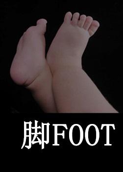脚FOOT