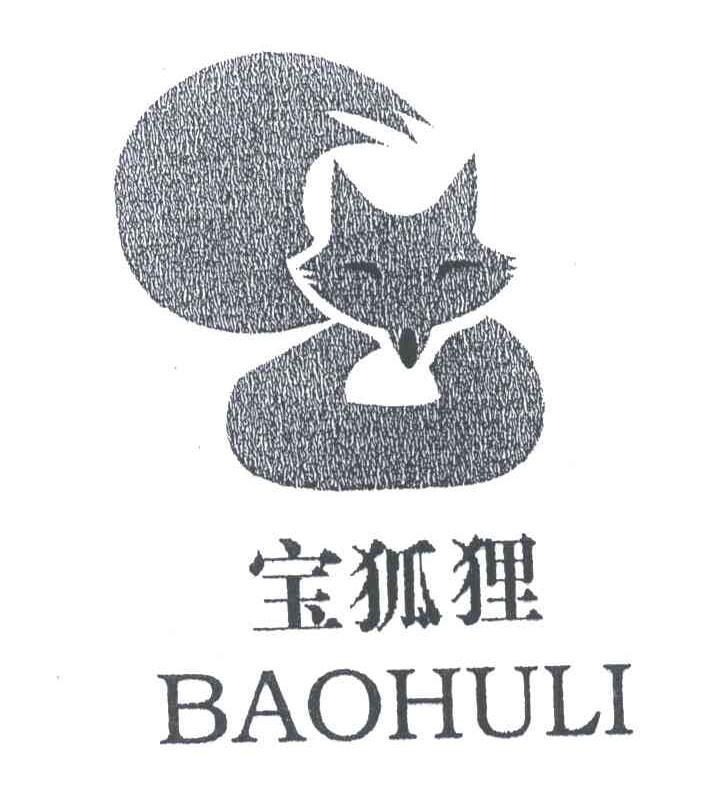 宝狐狸