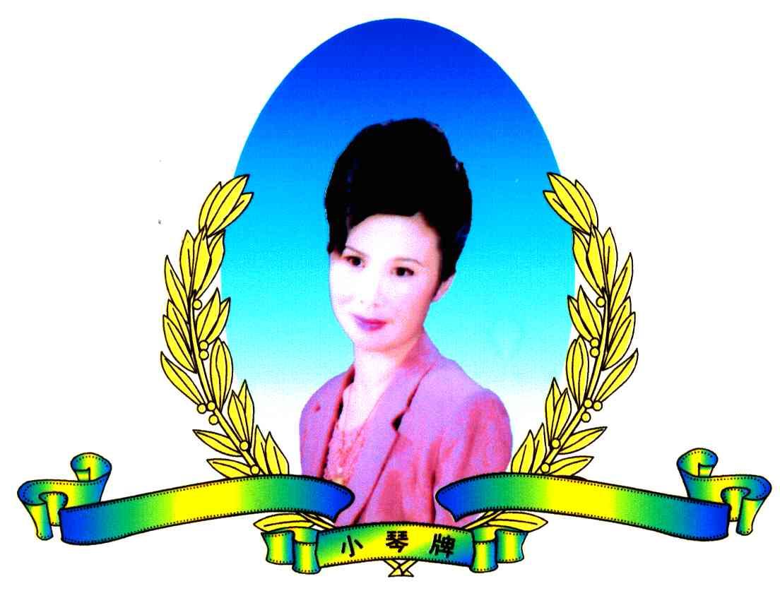 小琴