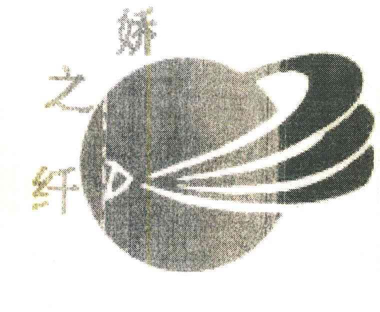 娇之纤