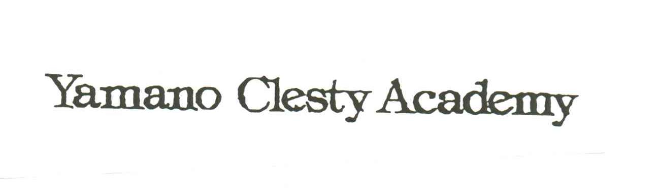 YAMANO CLESTY ACADEMY