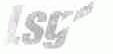 LSG