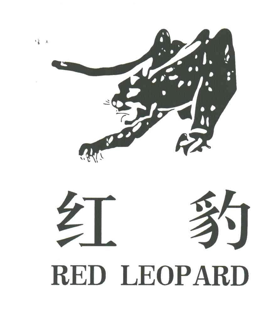 红豹;RED LEOPARD