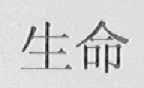 生命
