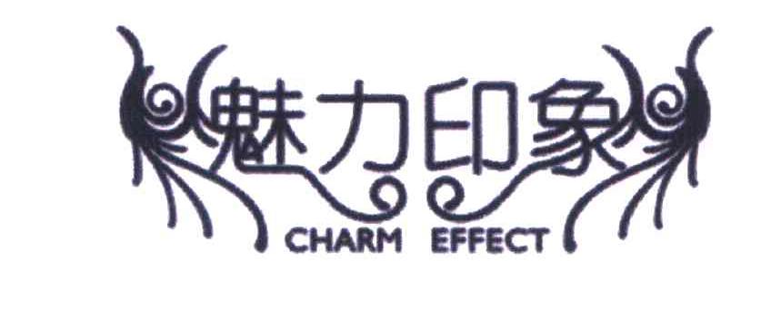 魅力印象;CHARM EFFECT