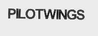 PILOTWINGS