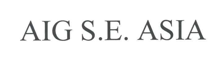 AIG S E ASIA