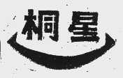 桐星