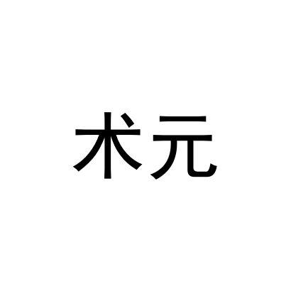 术元
