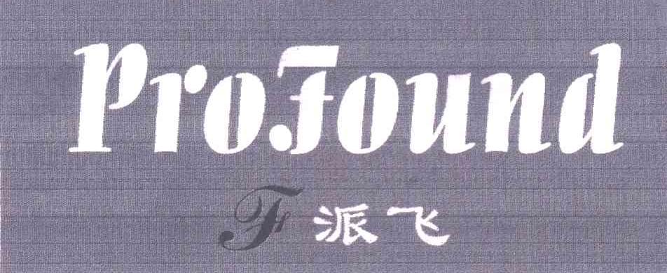 派飞 PROFOUND