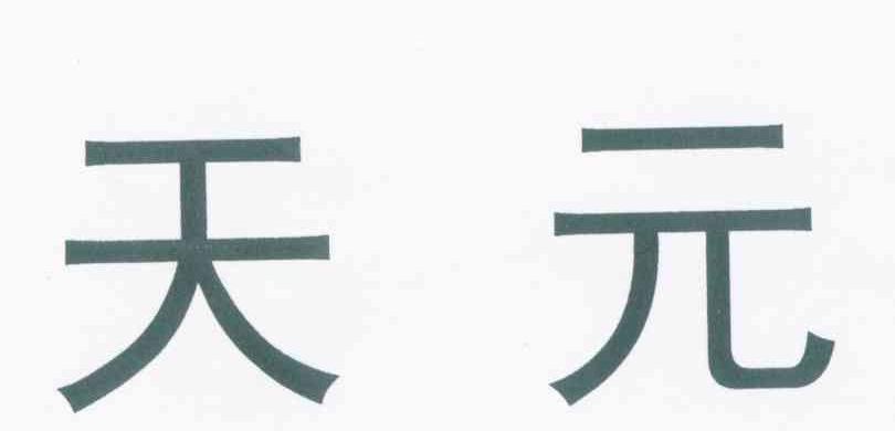 天元