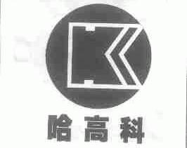 哈高科