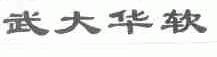 武大华软