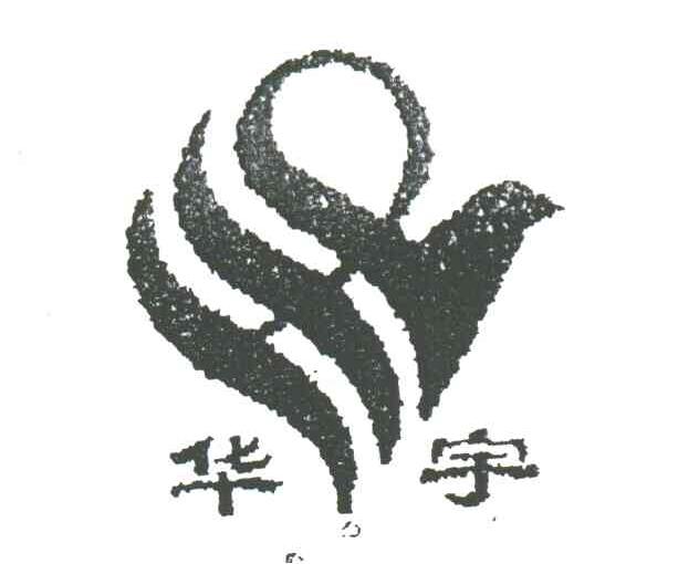 华宇