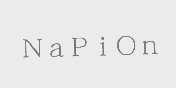 NAPION