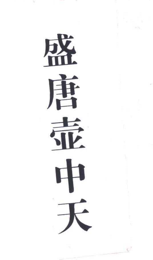 盛唐壶中天