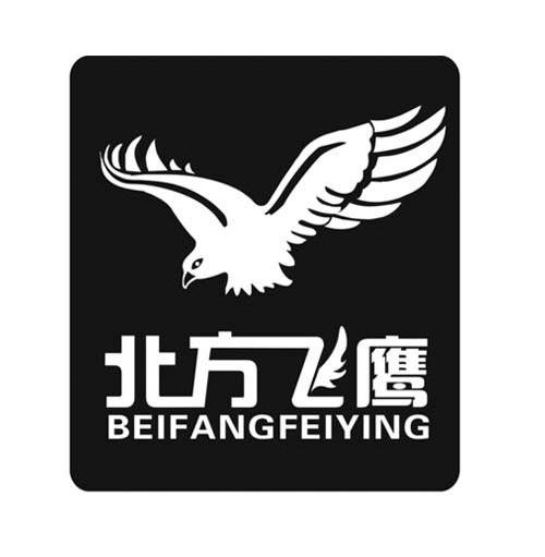 北方飞鹰