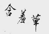 含羞草