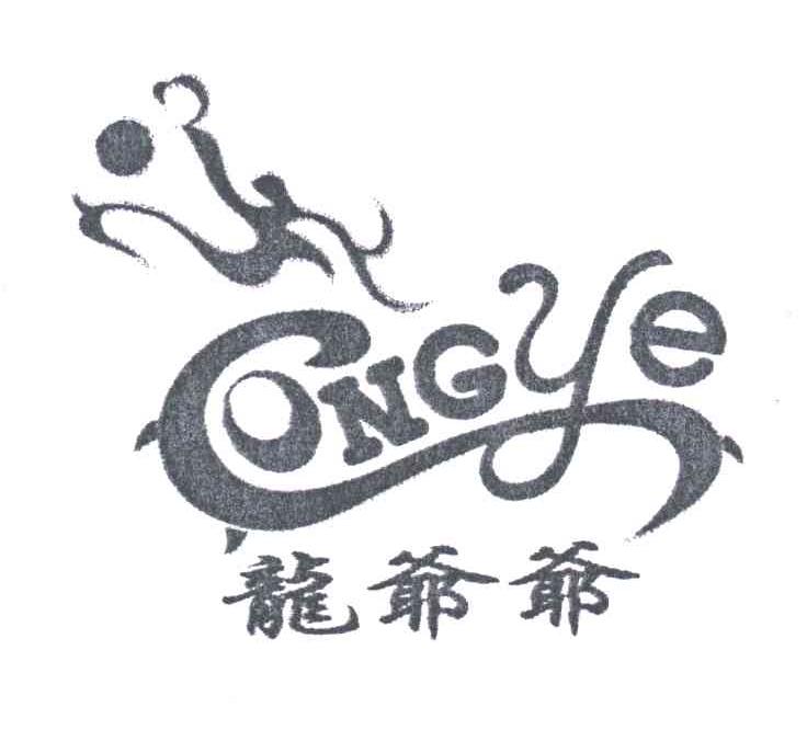 龙爷爷;LONG YE