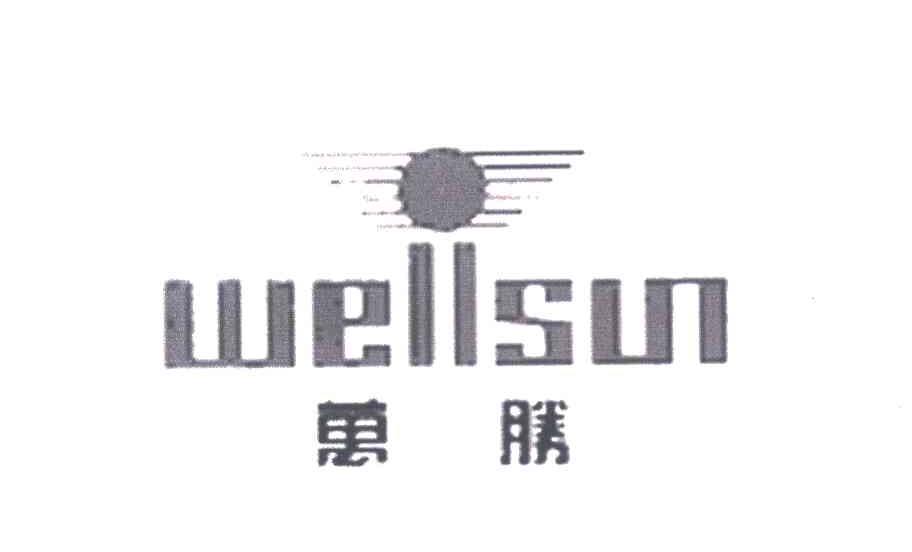 万胜 WELLSUN