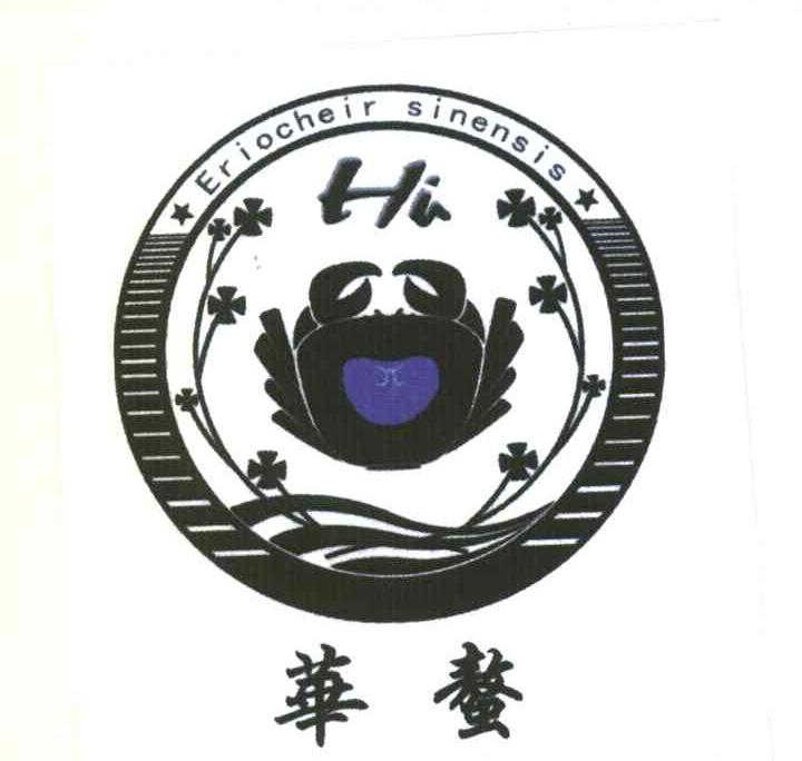 华螯;ERIOCHEIR SINENSIS