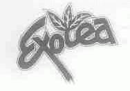 EXOTEA