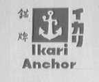 锚    ANCHOR
